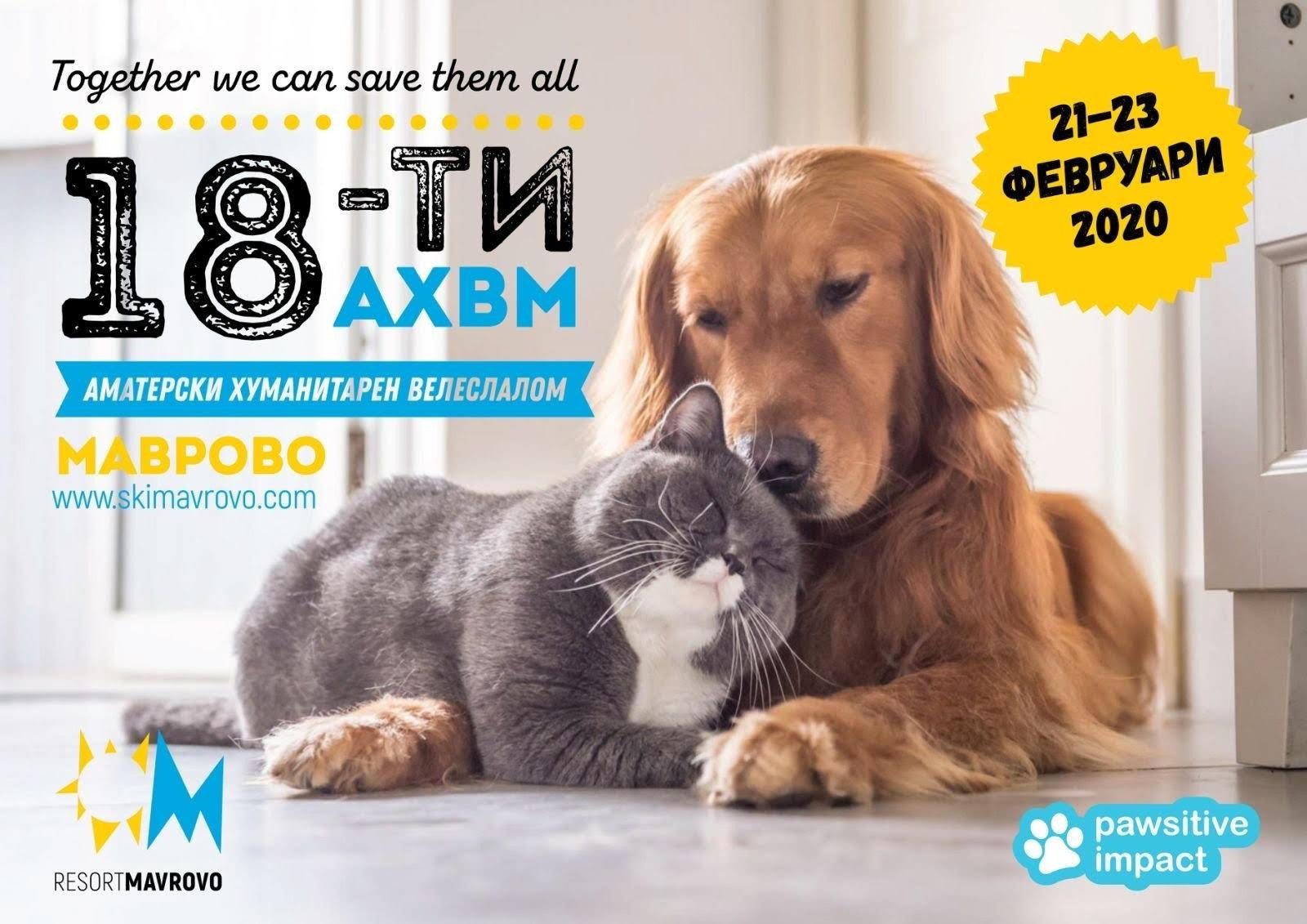 Read more about the article PAWsitive Impact