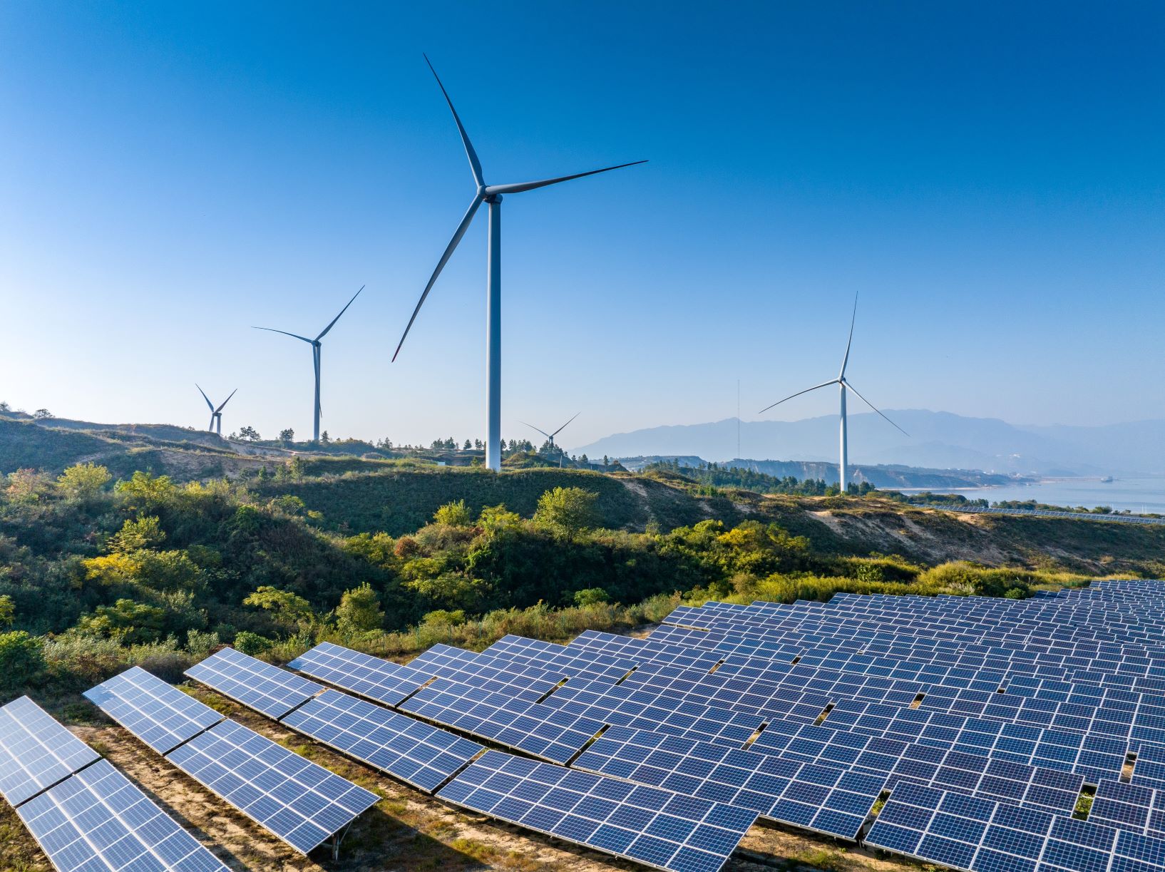 Global Renewable Energy Investment Still Reaches New Record as Investors Reassess Risks