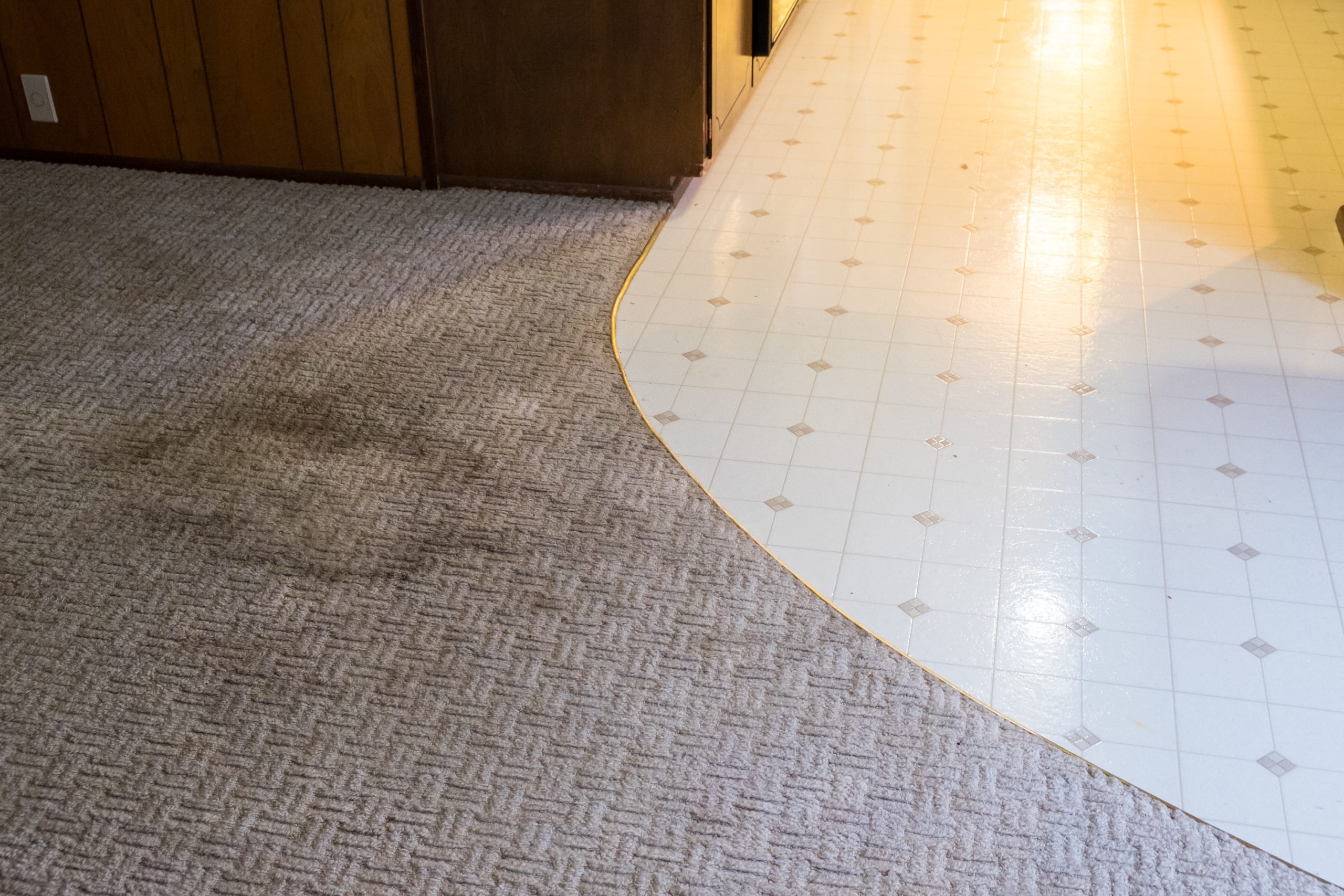 How to Get Rid of Carpet Odors for Good: Step-By-Step Guide