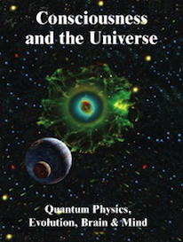 ConsciousnessCoverSmall11