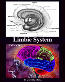 ELimbicSystemCoversSmall