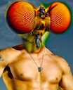 InsectAlien2