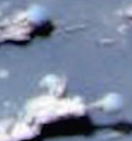 JosephLifeOnMarsSmallCrop