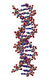 spinningDNA