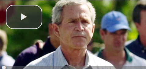 Bush Tours