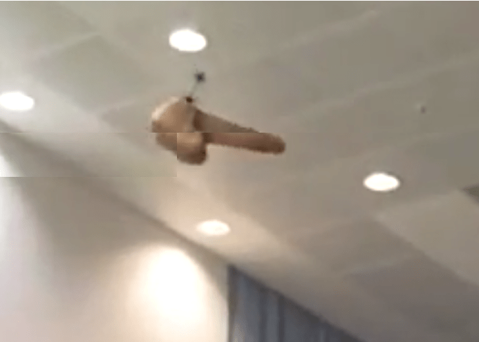 flying-dildo