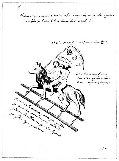leaf16