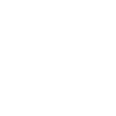 blurflake3.png