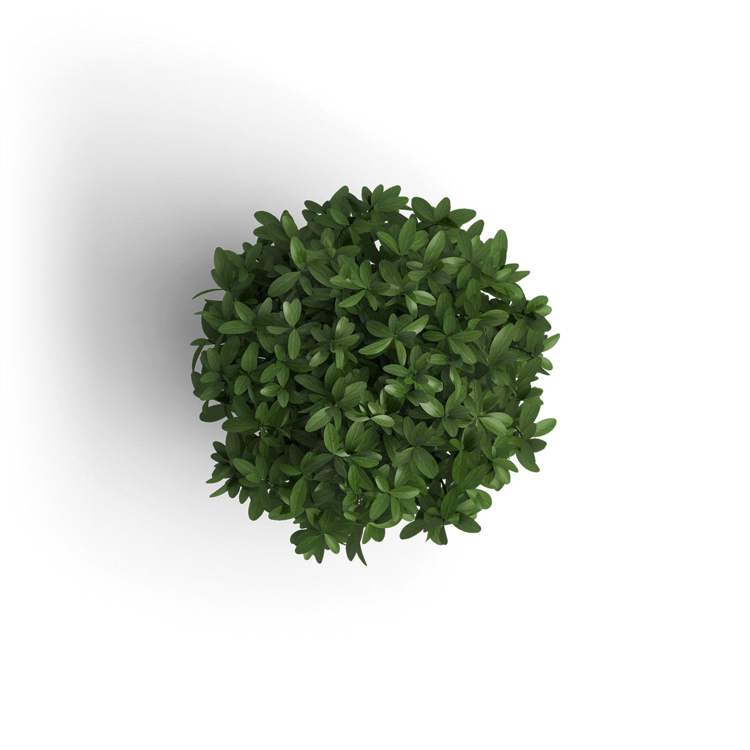 object_plant_1.png