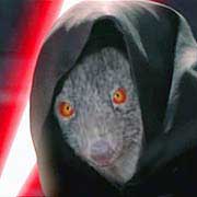 sith_wombat