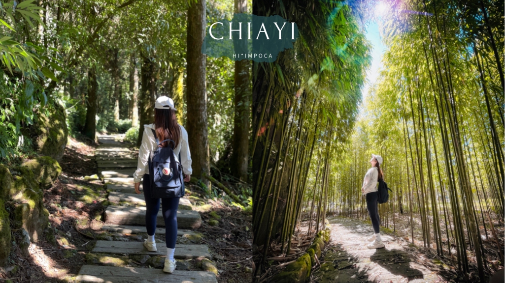 頂湖步道:台版小嵐山竹林步道攻略含gpx檔｜嘉義阿里山景點