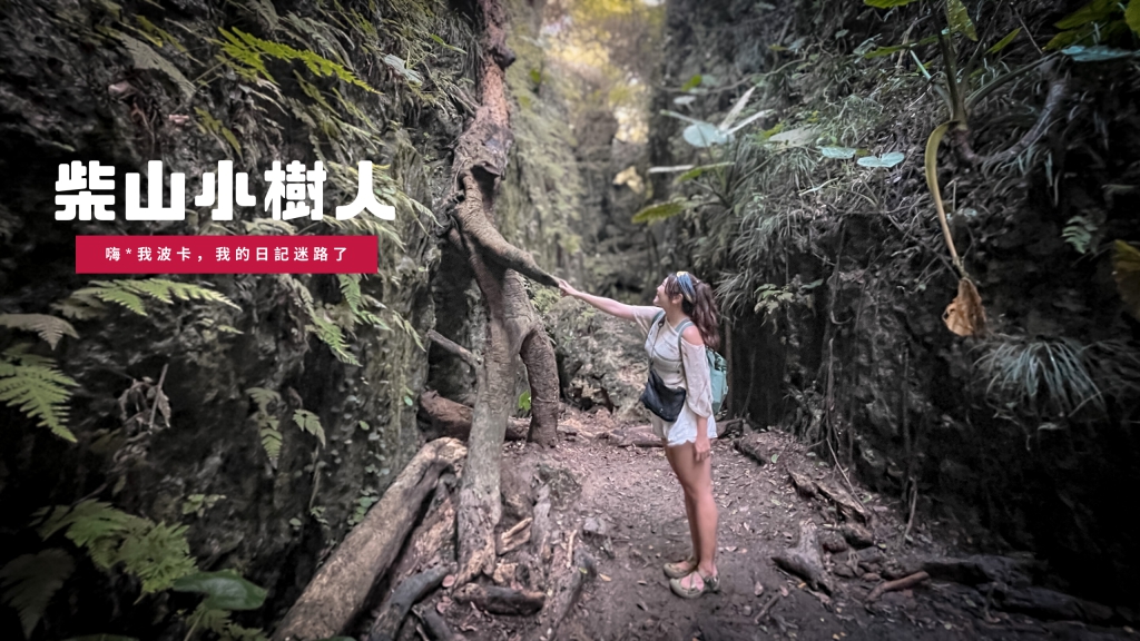 柴山外星小樹人—爆紅秘境攻略！含GPX路線檔下載