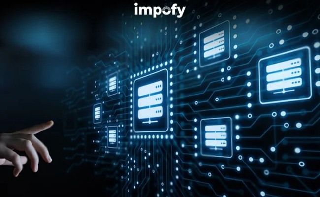 Importance Of Database - Impofy