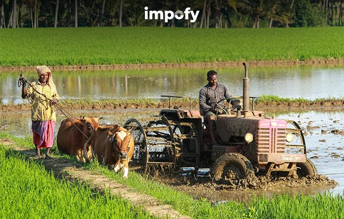 Top 10 importance of farmer in society and the economy