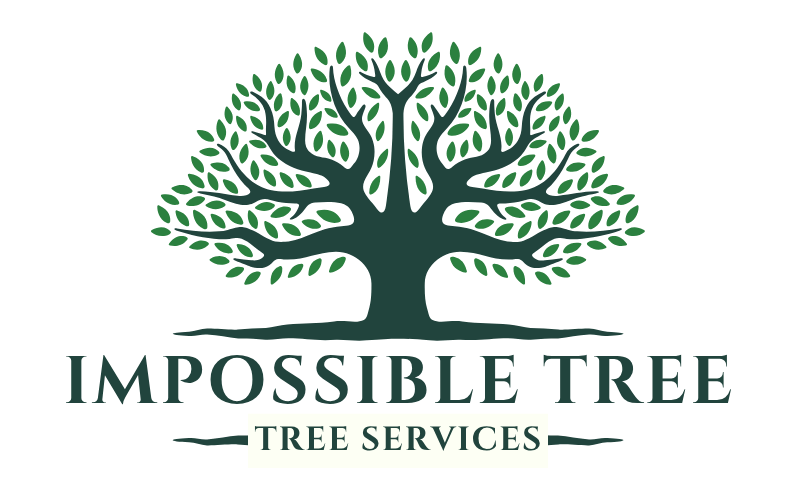 Impossible Tree, LLC