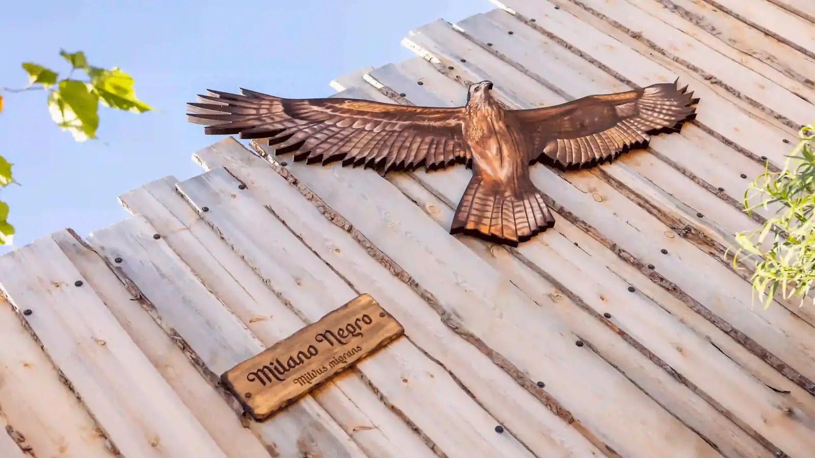 Pájaro de Madera Puy du Foe