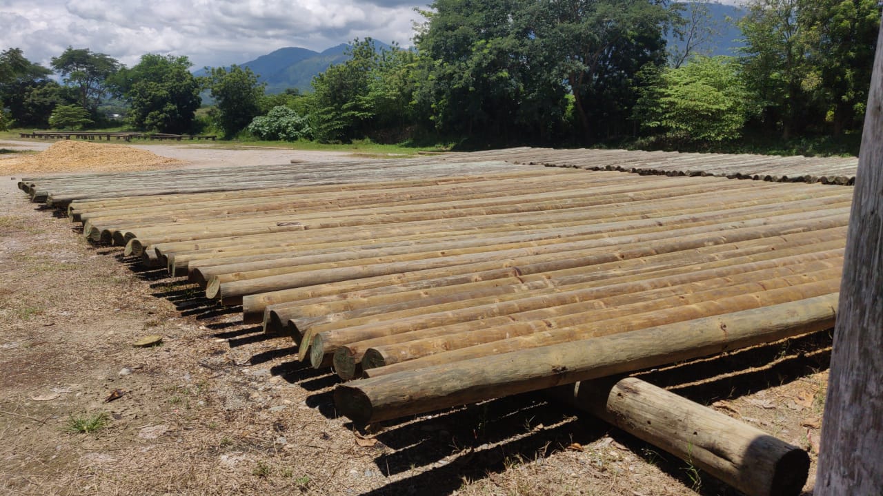 Postes Para Electrificación y Telefonía