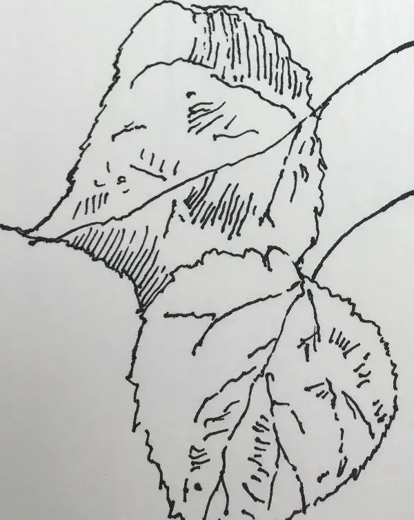 See more ideas about drawings, badass drawings, skull art. Simple Drawing Ideas For Your Sketchbook Improve Drawing