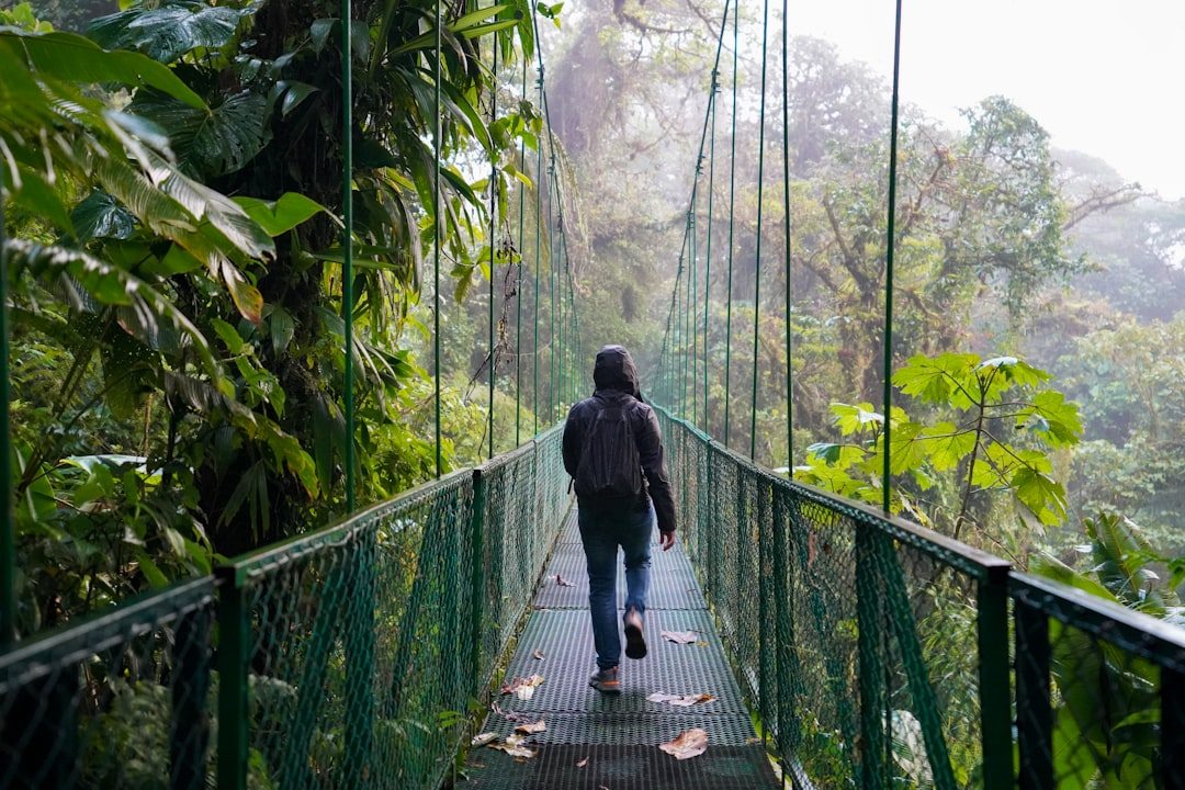 Hanging bridge in the Costa Rica cloud forest