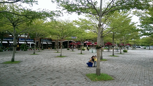 imag8647_20368347578_o.jpg - 10408 第七露 墾丁快樂白紗