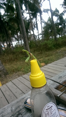 imag8846_20581899136_o.jpg - 10408 第七露 墾丁快樂白紗