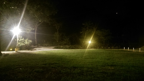imag9088_20512934784_o.jpg - 1040906第八露 拉拉山樂野(山蘇的故鄉)