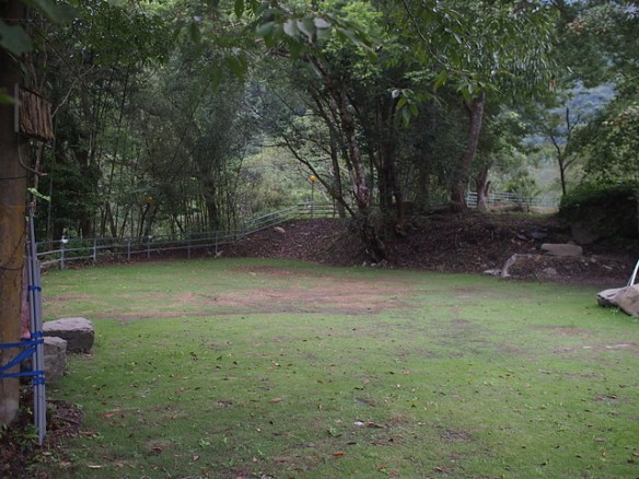P1014471.JPG - 1040906第八露 拉拉山樂野(山蘇的故鄉)