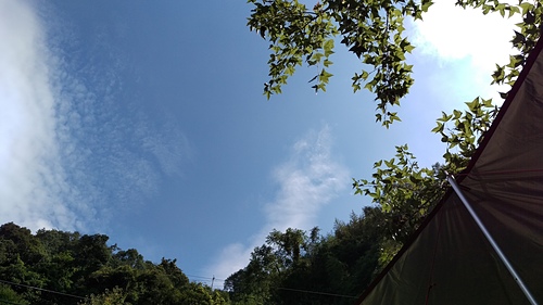 imag1093_21155876695_o.jpg - 1040906第八露 拉拉山樂野(山蘇的故鄉)