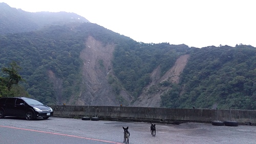 imag1026_21142195261_o.jpg - 1040906第八露 拉拉山樂野(山蘇的故鄉)