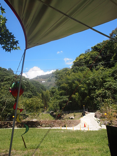 P1014514.JPG - 1040906第八露 拉拉山樂野(山蘇的故鄉)