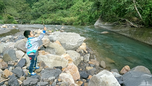 imag9139_20960996318_o.jpg - 1040906第八露 拉拉山樂野(山蘇的故鄉)