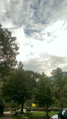 imag9131_21155760631_o.jpg - 1040906第八露 拉拉山樂野(山蘇的故鄉)