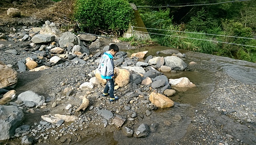 imag9132_21148814275_o.jpg - 1040906第八露 拉拉山樂野(山蘇的故鄉)