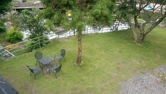imag9113_20960697479_o.jpg - 1040906第八露 拉拉山樂野(山蘇的故鄉)