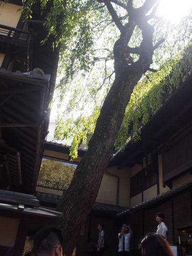 P1014988.JPG - 1040911日本大阪之旅