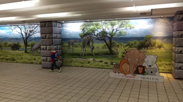 imag1228_20747535943_o.jpg - 1040911日本大阪之旅