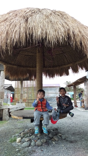 imag5193_25320471313_o.jpg - 第六天台東花蓮行