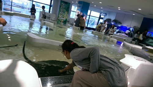 imag9804_21271919258_o.jpg - 1040911日本大阪之旅