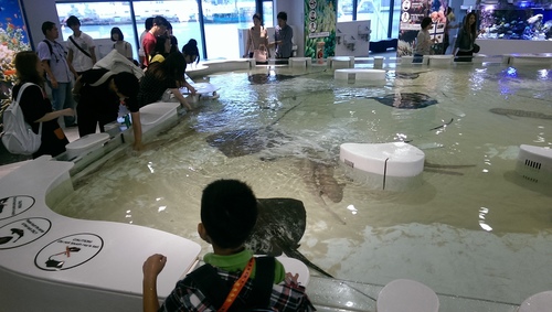 imag9798_21433388006_o.jpg - 1040911日本大阪之旅