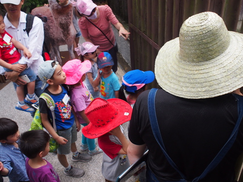 P5219552.JPG - 1060521動物園農夫職人成長之路