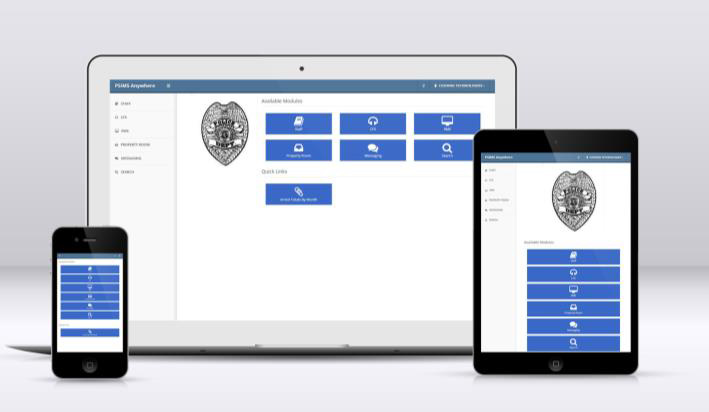 Elements of an Effective Public Safety Information Management System For Your Community