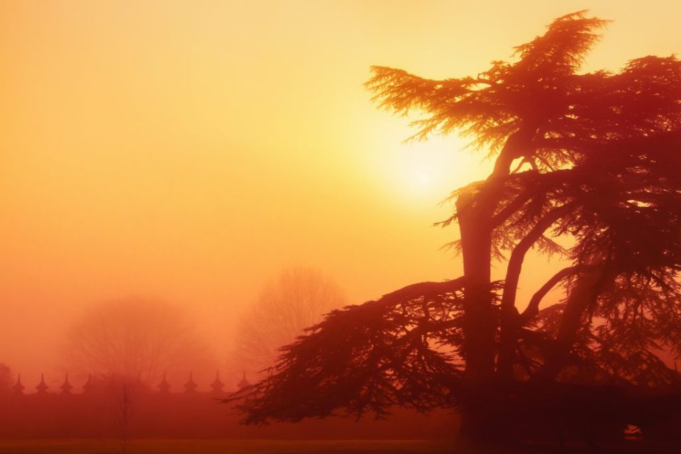 Landscape Photography