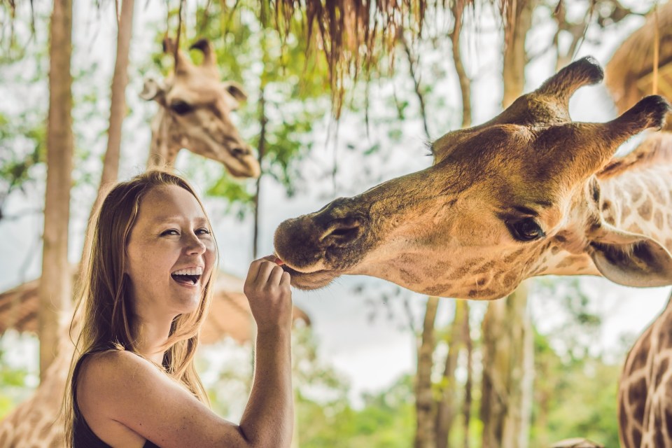 Zoo Photography