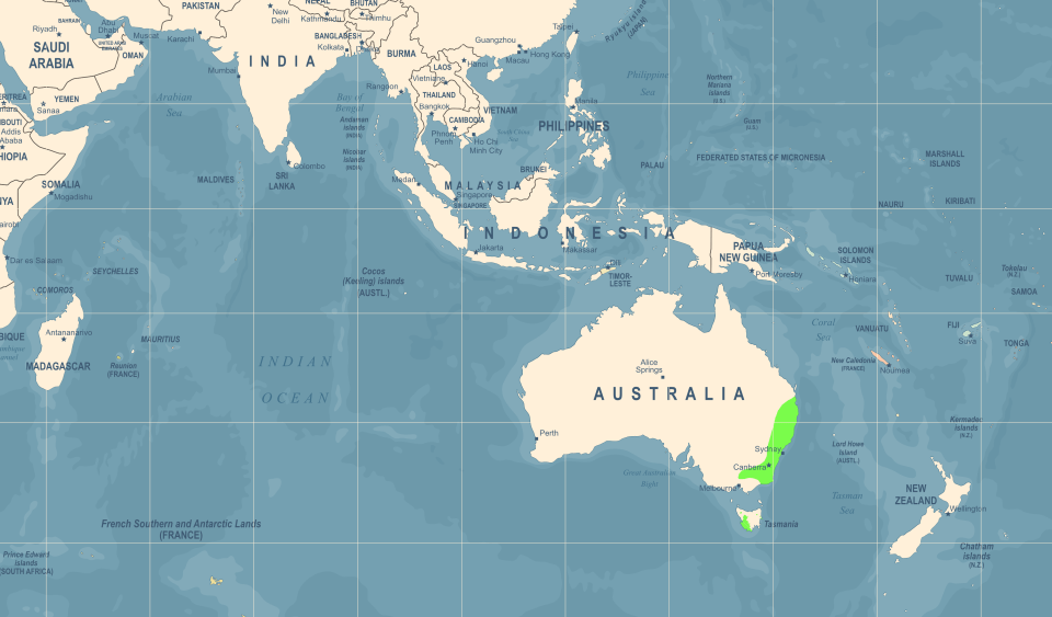 Lyrebird distribution