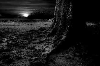 Dark Night of the Soul