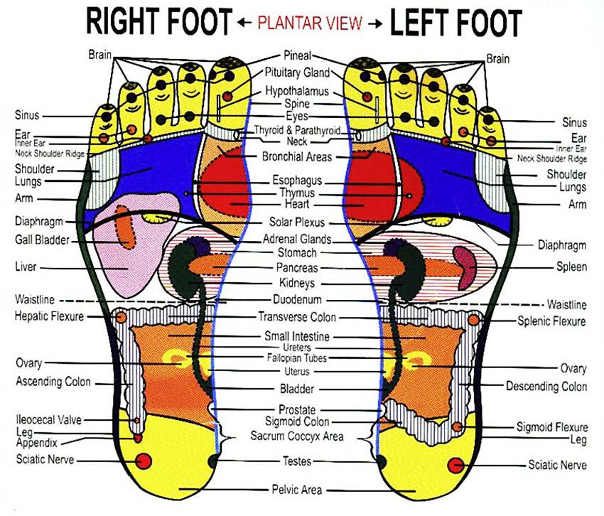Foot Reflexology An Easy to Follow StepbyStep Guide In5D Esoteric