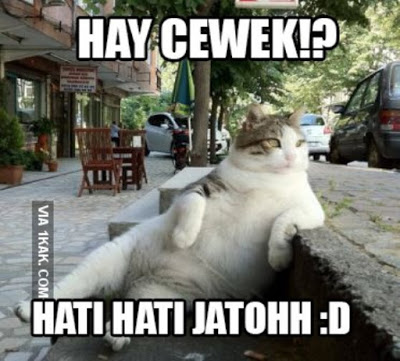 Download Gratis Gambar Gambar Lucu Kata-Kata Hewan Kolektor Lucu Terkeren by Lampunghits.com