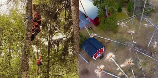 Tjh Github - Colorful Patterns - Premium Full HD Collection