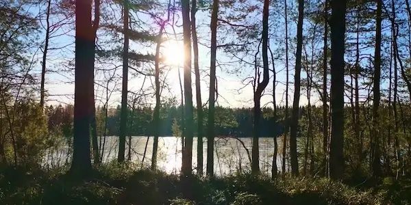 Tjh Github - Mountain Textures - Perfect Full HD Collection