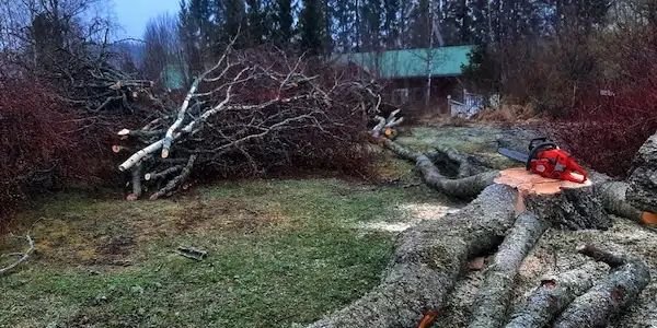 Tjh Github - Download Perfect Gradient Photo | Retina